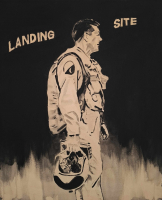 https://www.andreasleikauf.net:443/files/gimgs/th-53_landing site.jpg